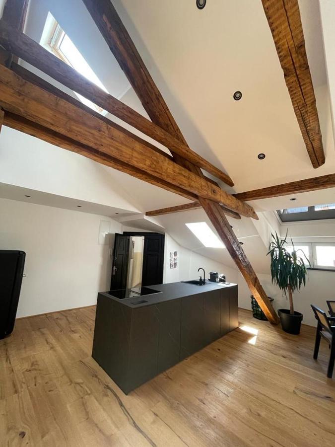 Rooftop Loft Appartement Split